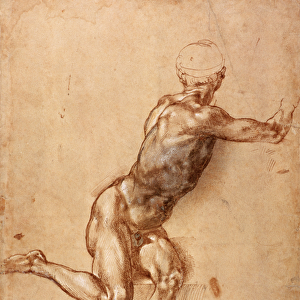 A seated male nude twisting around, c. 1505 (pen & ink with wash on paper)