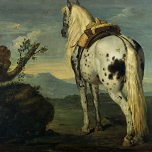 A Selle Francais Horse in a Landscape, 1787 (oil on canvas)