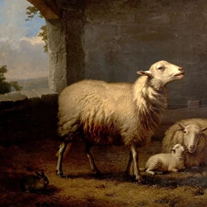 Sheep, 1876 (oil on canvas)