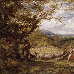 The Sheep Drive, 1863 (oil on canvas)