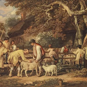 Sheep shearing, c. 1820 (colour litho)