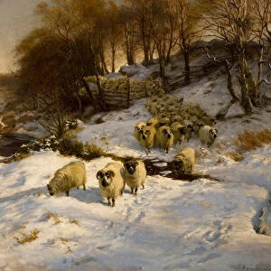 Sheep in the Snow, 1935 (oil on canvas)