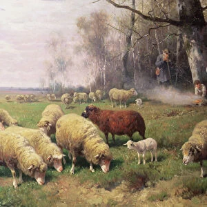The Shepherds Family