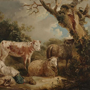 The Shepherds Rest (oil on board)
