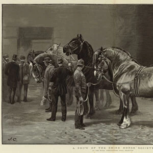 A Show of the Shire Horse Society (engraving)