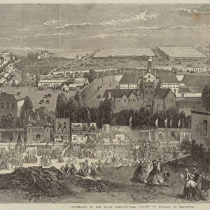 Showyards of the Royal Agricultural Society of England at Plymouth (engraving)