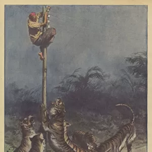 The Siege of the Tigers (Colour Litho)