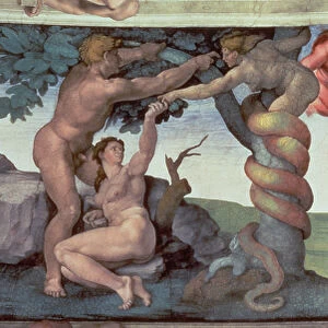 Sistine Chapel Ceiling (1508-12): The Fall of Man, 1510 (fresco) (post restoration)