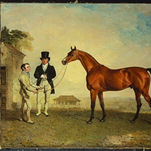 Skiff, a bay Racehorse held by a Groom on Newmarket Heath, with John Howe