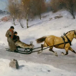 Sledge riding Sledge riding