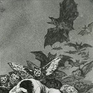 The Sleep of Reason Produces Monsters, from Los Caprichos (engraving)