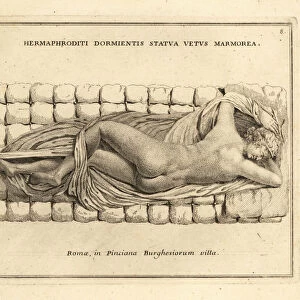 Sleeping Hermaphroditus, or the Borghese Hermaphroditus. 1779 (engraving)