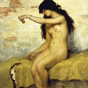 The Snake Charmer, (oil on canvas)