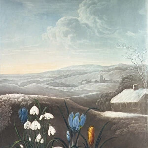 The Snowdrop, engraved by Ward, probably early 19th century (aquatint and gum arabic)