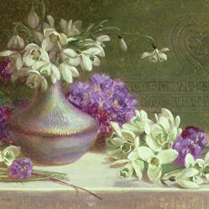 Snowdrops & violets