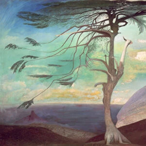 The Solitary Cedar, 1907 (oil on canvas)