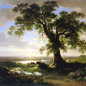 The Solitary Oak / The Old Oak, 1844 (oil on canvas)