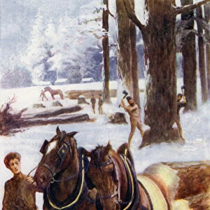 "Some engaged in felling trees, others with horses dragging the trunks, placed on sleighs, over the hard snow"(colour litho)