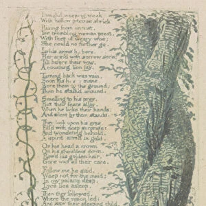 Songs of Innocence and of Experience, Plate 22, "The Little Girl Found"