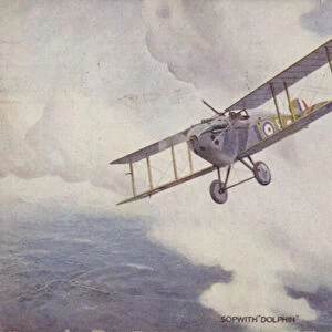 Sopwith Dolphin fighter plane (colour litho)