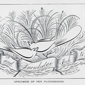 Specimen of Pen Flourishing, Fame and Knowledge Seek to Gain (engraving)