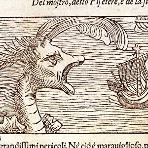 A sperm whale (?) (physeter) attacks a ship. Engraving by Olaus Magnus (1490 - 1557)