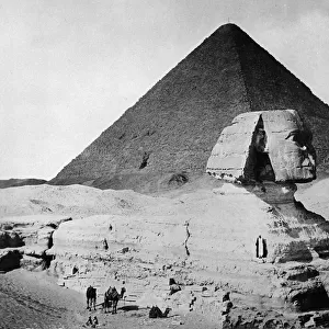 The Sphinx and the Pyramid of Cheops - The Great Pyramid, c. 1904-05 (b / w photo)