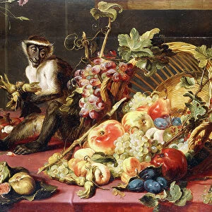 A Spilled Basket of Fruits on a Draped Table with Monkeys, (oil on panel)
