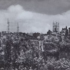 The spire of St Mary-le-Bow and the towers of St Mary Aldermary, and St Mildred, Bread Street, seen across the wilderness of flowering weeds which rapidly covered some of the scars left by the bombing of the city (b / w photo)