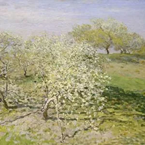 Spring (Fruit Trees in Bloom), 1873 (oil on canvas)