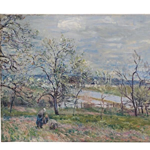 Spring at Veneux-Nadon, 1882 (oil on canvas)