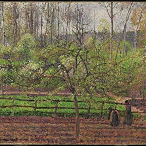 Springtime, Grey Weather, Eragny, 1895 (oil on canvas)