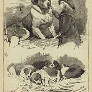 The St Bernard Club Dog Show (engraving)