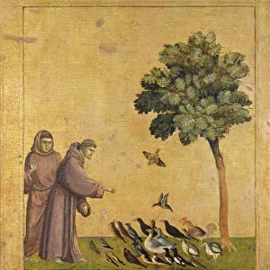 St. Francis of Assisi preaching to the birds (oil on panel)