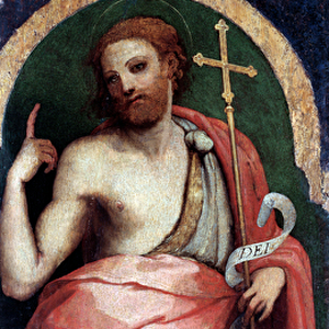 St John Baptist, Side Panel (oil on wood, c. 1535)