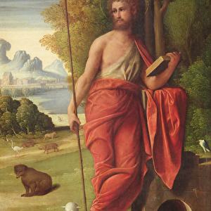St. John the Baptist in the Wilderness, c. 1525 (oil on panel)