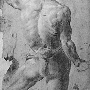 Standing male nude (black chalk & sanguine on paper)