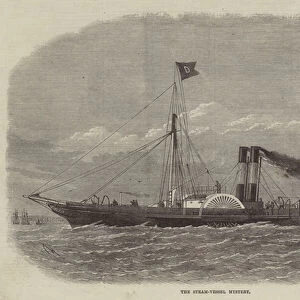 The Steam-Vessel Mystery (engraving)