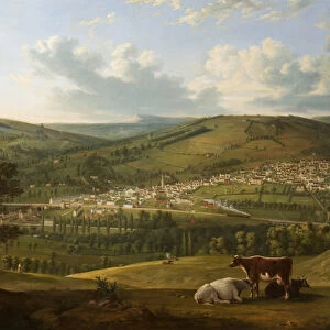 Stroud from near Rodborough Fort, Gloucestershire (oil on canvas)
