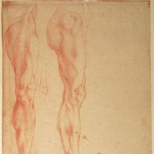 Studies of Legs and Arms (red chalk on paper)