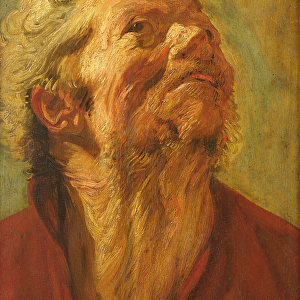 Study of a Head, or Head of an Apostle, c. 1620 (oil on canvas)