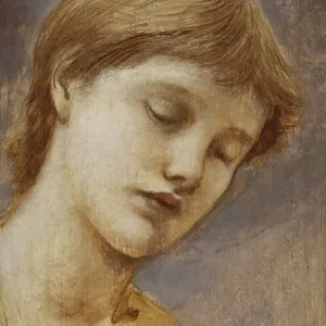 Study of a Head (oil on panel) Print by Edward Burne-Jones
