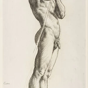 A Study of a Male Figure, 1906 (chalk on paper)