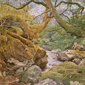 Study from Nature: Inveruglas, 1857 (w / c on paper)
