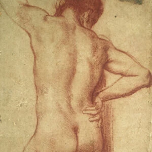 Study of a nude Man (red chalk on brownish paper)