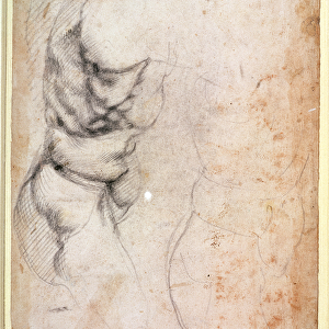 Study of torso and buttock (charcoal on paper) (recto)
