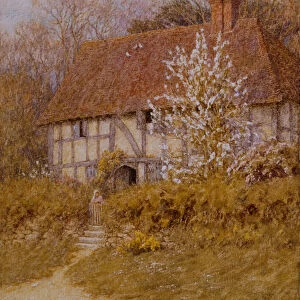 A Surrey Cottage (w / c on paper)