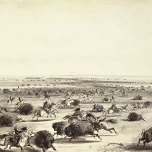 A "Surround"of Buffalo by Indians, c. 1858 (wash on paper)