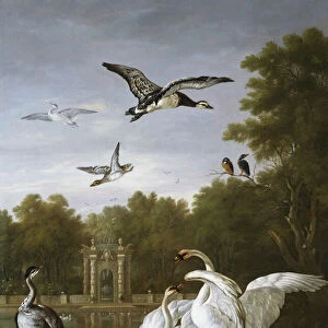 Swans, ducks and other birds in a park (oil on canvas)