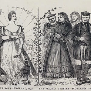 The Sweet Rose - England, 1837: the Prickly Thistle, Scotland, 1876 (engraving)
